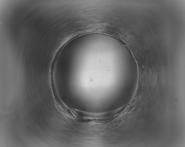 X0000069790100200605191049