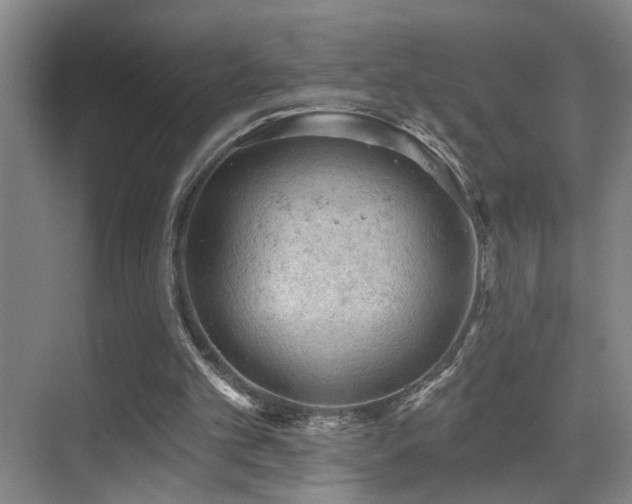 X0000069790101200605191049