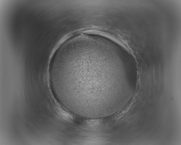 X0000069790102200605191049