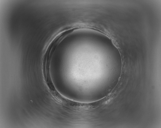 X0000069790103200605191049