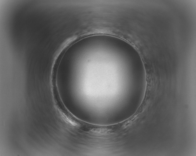 X0000069790104200605191049