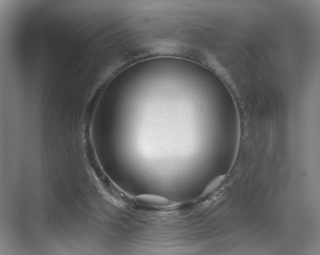 X0000069790106200605191049