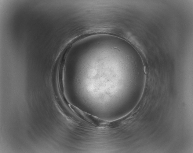 X0000069790107200605191048