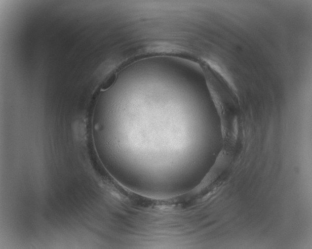 X0000069790111200605191048