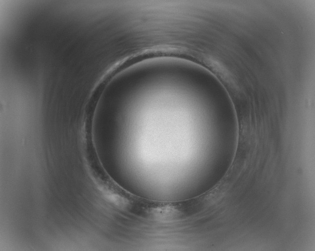 X0000069790112200605191048