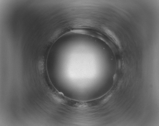 X0000069790113200605191048