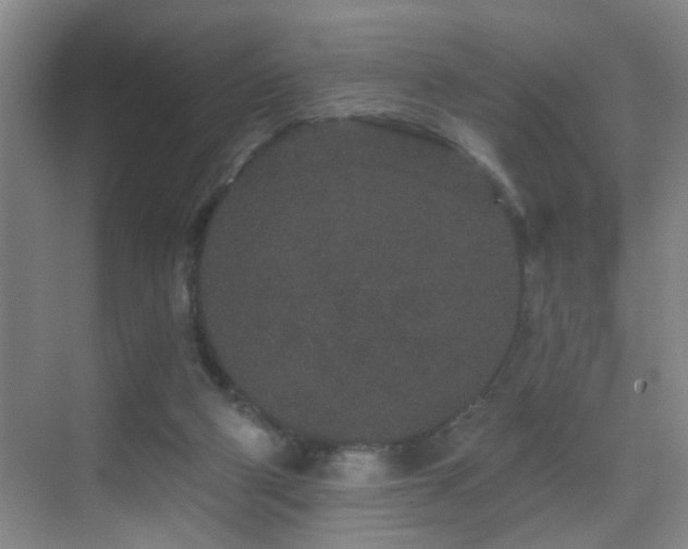 X0000069790114200605191048