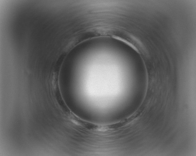 X0000069790121200605191048