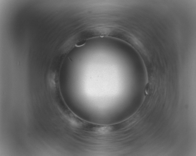 X0000069790122200605191048