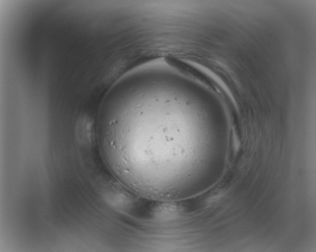 X0000069790123200605191048