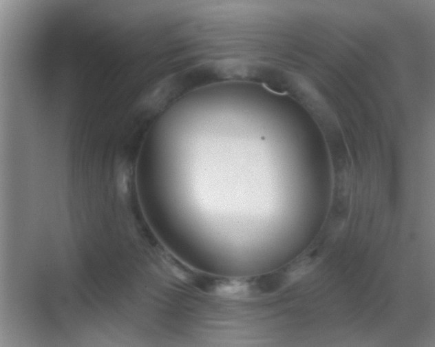 X0000069790125200605191048