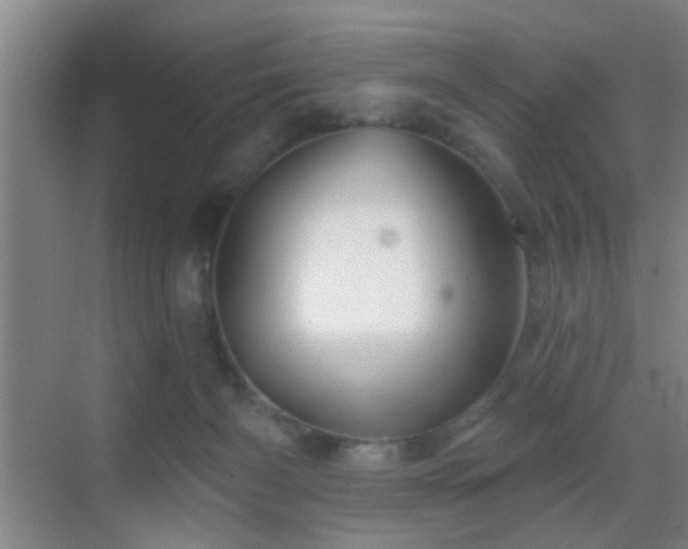 X0000069790126200605191048