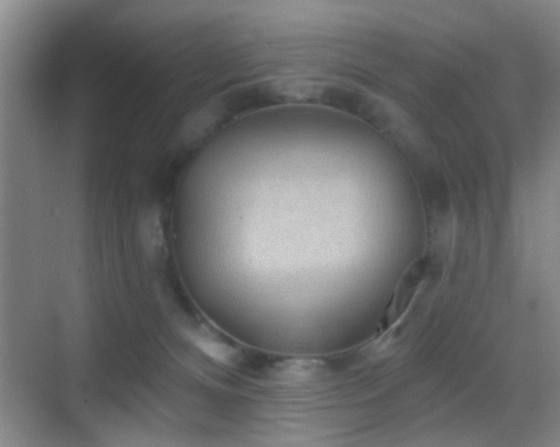 X0000069790128200605191048