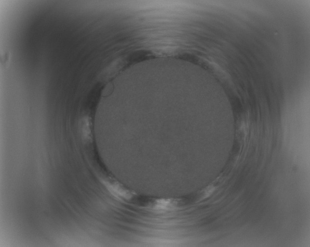 X0000069790130200605191048