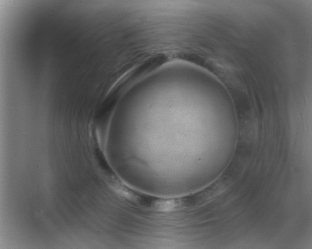 X0000069790131200605191048