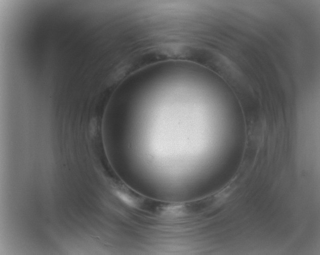 X0000069790132200605191048