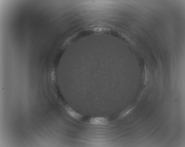 X0000069790137200605191048