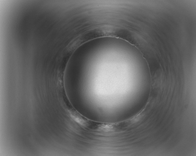 X0000069790140200605191048