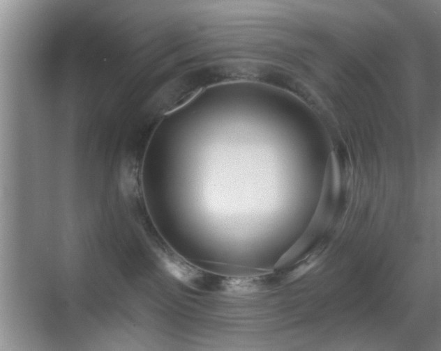 X0000069790141200605191048