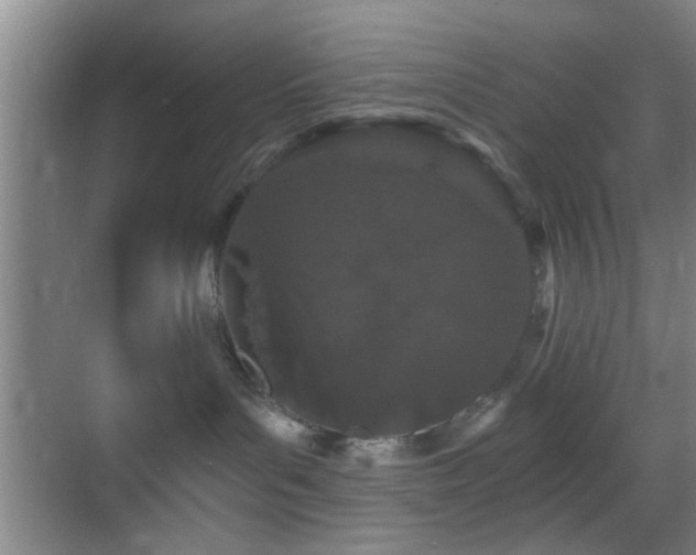 X0000069790143200605191048