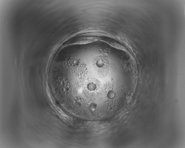 X0000069790145200605191047