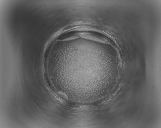 X0000069790149200605191047