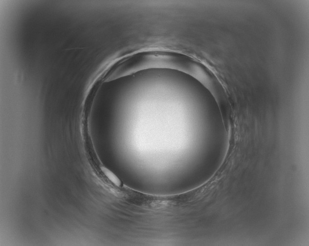 X0000069790152200605191047