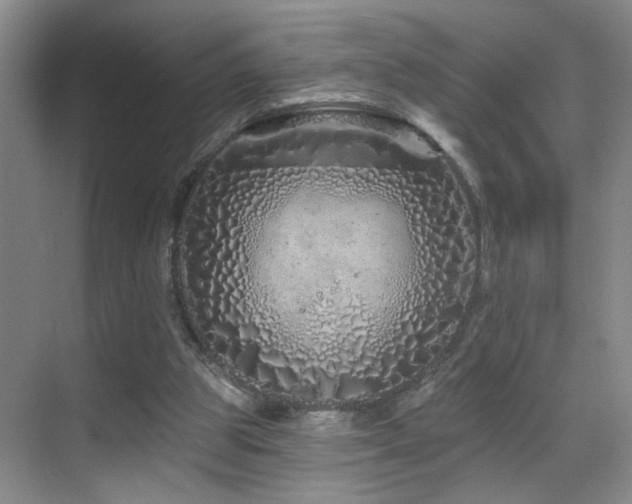 X0000069790153200605191047