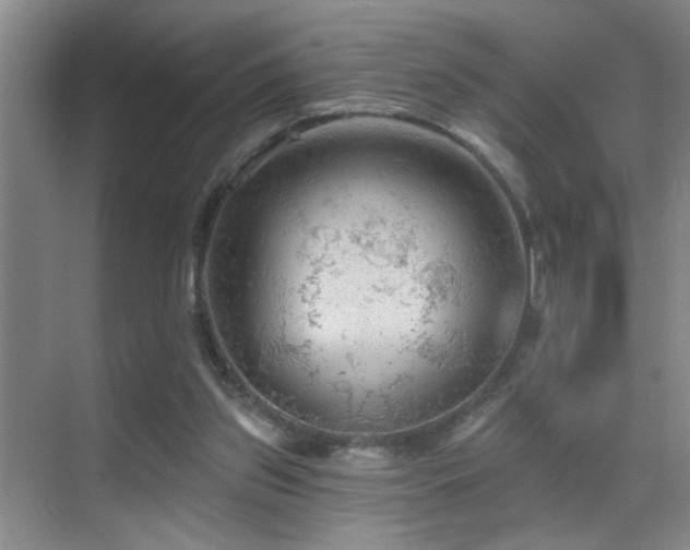 X0000069790157200605191047