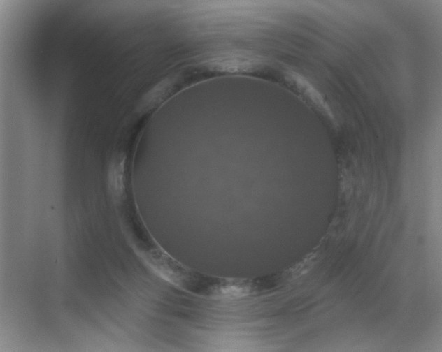 X0000069790163200605191047