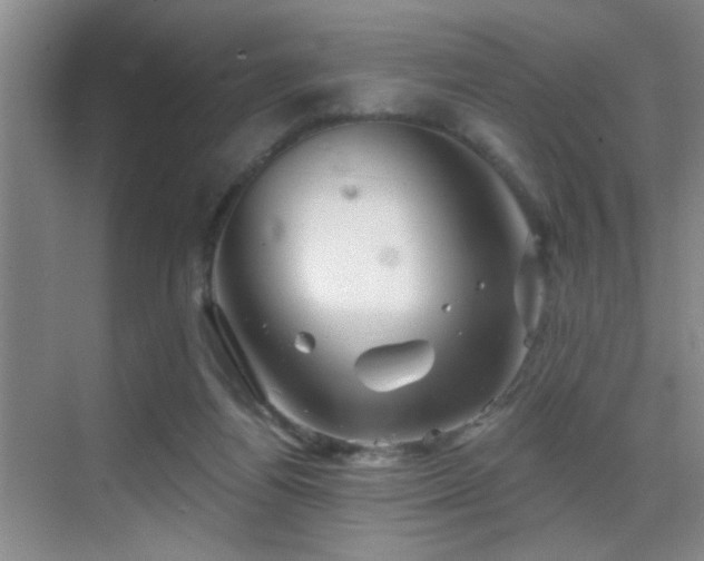 X0000069790164200605191047