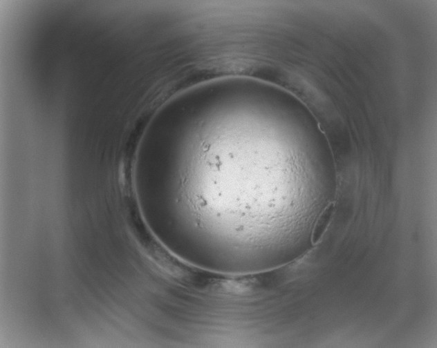 X0000069790166200605191047