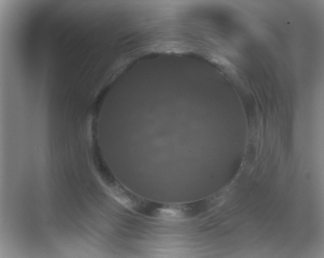 X0000069790167200605191047