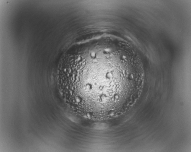 X0000069790169200605191047