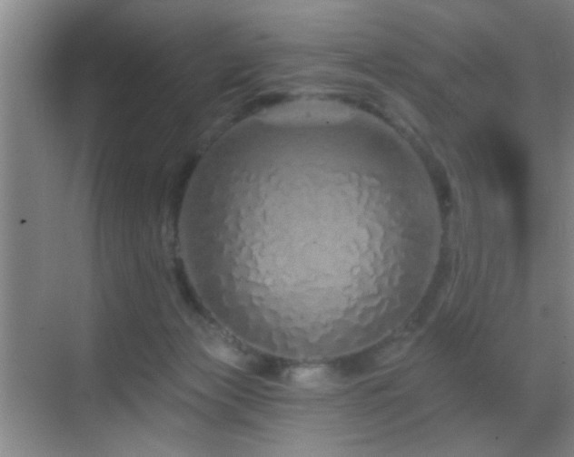 X0000069790173200605191048