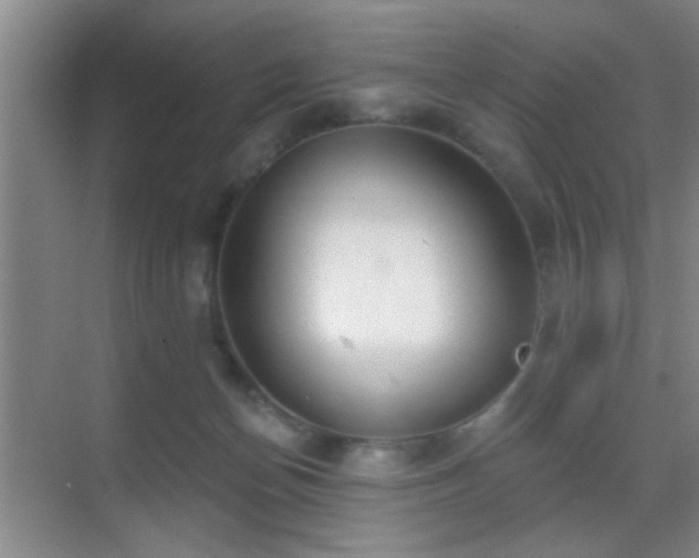 X0000069790174200605191048