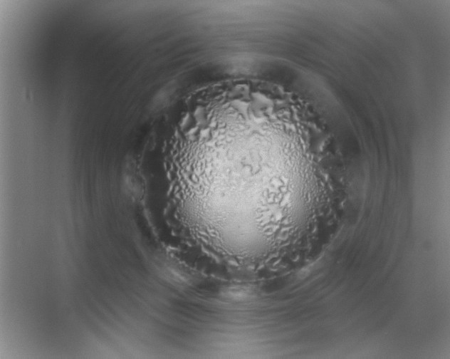 X0000069790175200605191048