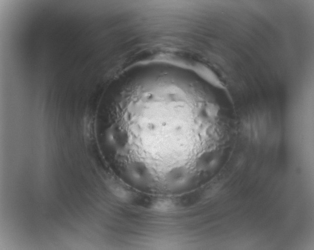 X0000069790177200605191048