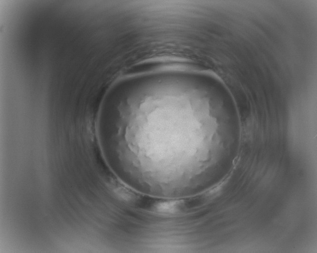 X0000069790178200605191048