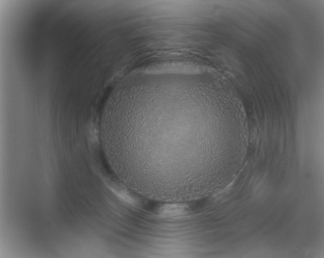 X0000069790179200605191048