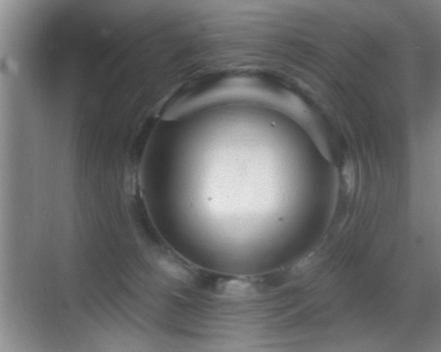 X0000069790180200605191048