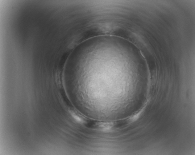 X0000069790182200605191048