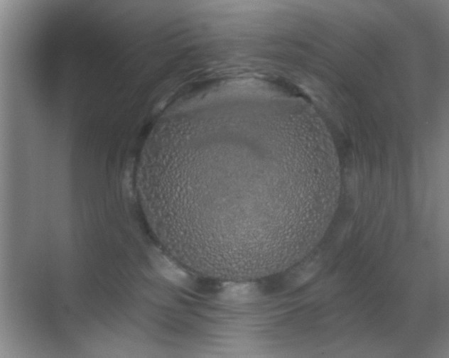 X0000069790185200605191048