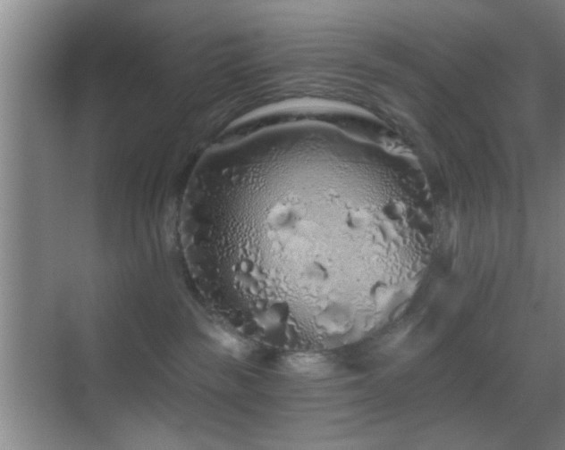 X0000069790189200605191048