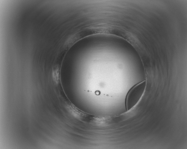 X0000069790190200605191048