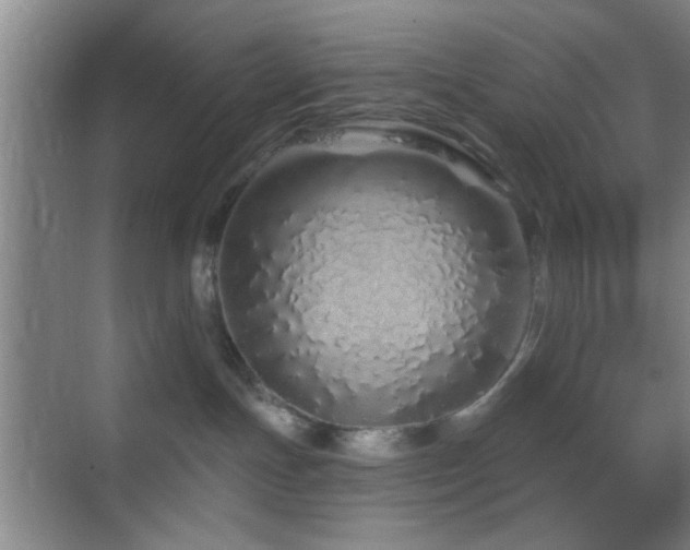 X0000069790191200605191048