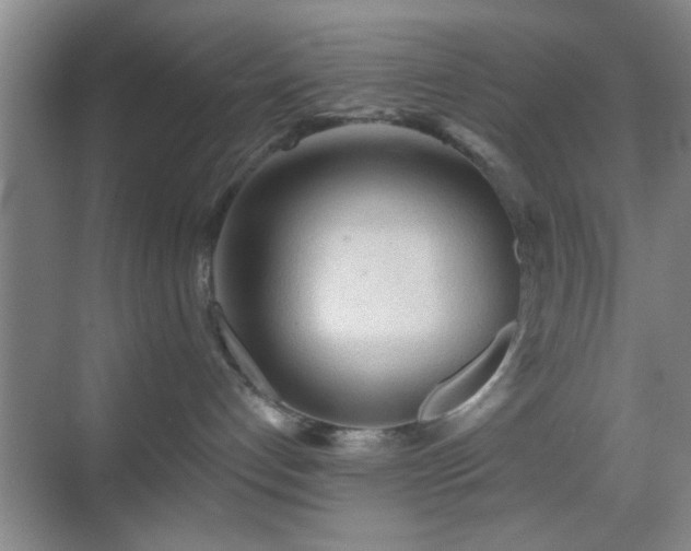 X0000069790192200605191048