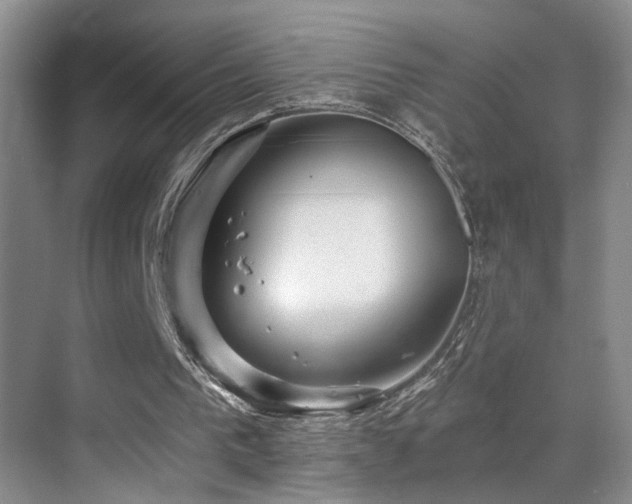 X0000069790193200605191047