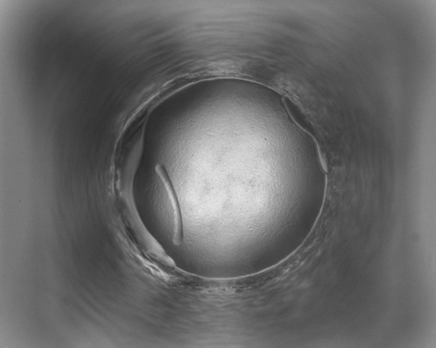 X0000069790194200605191047