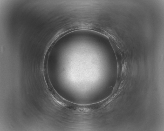 X0000069790195200605191047